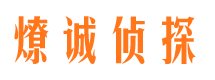 武宁市调查公司